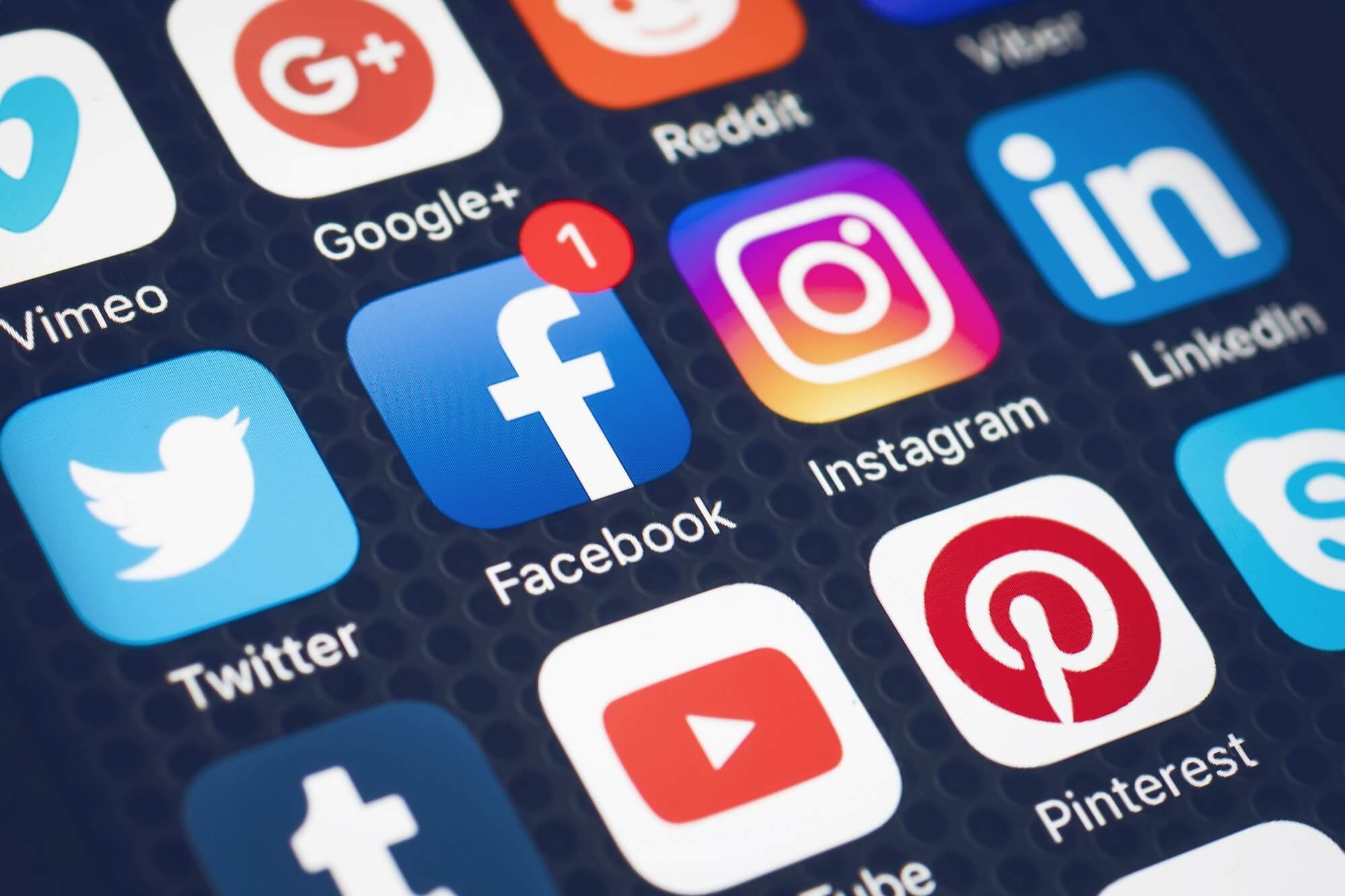  Introducción a las  Redes Sociales en Petshop