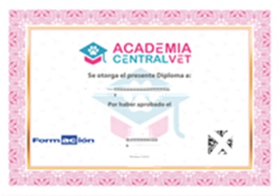 Certificación